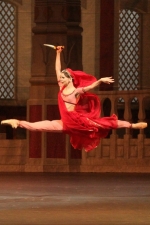 Illustration. Kinepolis. Ballet. La Bayadère. 2014-12-07